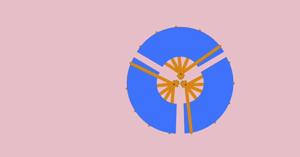 The spread and development of Sensu From Japan to the world